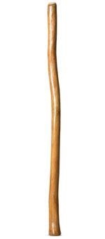 Gloss Finish Didgeridoo (TW980)